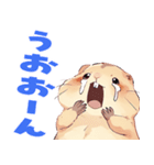 プレーリードッグといっしょ（個別スタンプ：13）