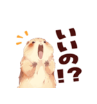 プレーリードッグといっしょ（個別スタンプ：31）