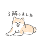 秋田犬がいるから頑張れる（個別スタンプ：1）
