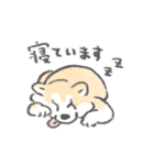 秋田犬がいるから頑張れる（個別スタンプ：6）