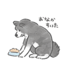 秋田犬がいるから頑張れる（個別スタンプ：9）