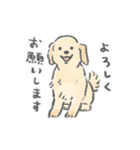 ゴールデンレトリバーがいるから頑張れる（個別スタンプ：6）