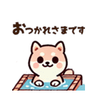 ず～っと使える♡かわいい日常 柴犬（個別スタンプ：3）