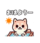ず～っと使える♡かわいい日常 柴犬（個別スタンプ：4）