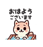 ず～っと使える♡かわいい日常 柴犬（個別スタンプ：5）