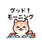ず～っと使える♡かわいい日常 柴犬（個別スタンプ：6）