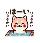 ず～っと使える♡かわいい日常 柴犬（個別スタンプ：9）