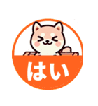 ず～っと使える♡かわいい日常 柴犬（個別スタンプ：10）