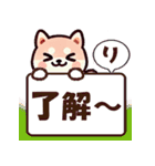 ず～っと使える♡かわいい日常 柴犬（個別スタンプ：12）
