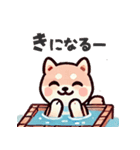 ず～っと使える♡かわいい日常 柴犬（個別スタンプ：16）