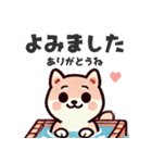 ず～っと使える♡かわいい日常 柴犬（個別スタンプ：19）
