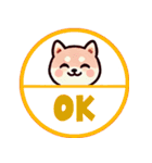 ず～っと使える♡かわいい日常 柴犬（個別スタンプ：20）
