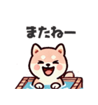 ず～っと使える♡かわいい日常 柴犬（個別スタンプ：22）