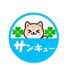 ず～っと使える♡かわいい日常 柴犬（個別スタンプ：24）