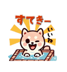 ず～っと使える♡かわいい日常 柴犬（個別スタンプ：26）
