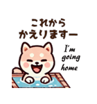 ず～っと使える♡かわいい日常 柴犬（個別スタンプ：29）