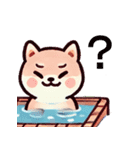 ず～っと使える♡かわいい日常 柴犬（個別スタンプ：30）