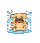 僕はライオン「ポコ」（個別スタンプ：19）