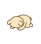 僕はライオン「ポコ」（個別スタンプ：21）