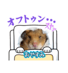ハム＆ごま2（個別スタンプ：3）