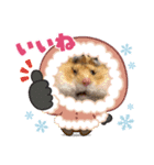 ハム＆ごま2（個別スタンプ：5）