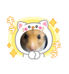 ハム＆ごま2（個別スタンプ：6）