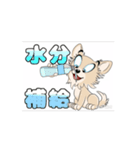 チワワ犬の楽しいスタンプ3（個別スタンプ：1）