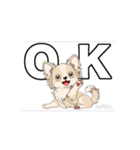 チワワ犬の楽しいスタンプ3（個別スタンプ：4）