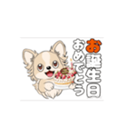 チワワ犬の楽しいスタンプ3（個別スタンプ：5）