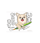 チワワ犬の楽しいスタンプ3（個別スタンプ：6）