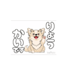 チワワ犬の楽しいスタンプ3（個別スタンプ：7）