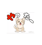 チワワ犬の楽しいスタンプ3（個別スタンプ：9）