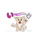 チワワ犬の楽しいスタンプ3（個別スタンプ：10）