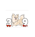チワワ犬の楽しいスタンプ3（個別スタンプ：11）
