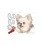チワワ犬の楽しいスタンプ3（個別スタンプ：12）