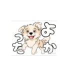チワワ犬の楽しいスタンプ3（個別スタンプ：13）