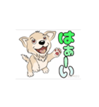 チワワ犬の楽しいスタンプ3（個別スタンプ：14）
