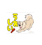チワワ犬の楽しいスタンプ3（個別スタンプ：15）