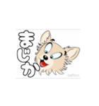 チワワ犬の楽しいスタンプ3（個別スタンプ：16）