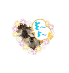 あずき＆くるみのスタンプpart3（個別スタンプ：3）
