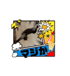 あずき＆くるみのスタンプpart3（個別スタンプ：7）