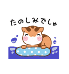 りすたんの梅雨と七夕と夏！！りすたん語（個別スタンプ：12）