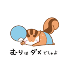 りすたんの梅雨と七夕と夏！！りすたん語（個別スタンプ：16）