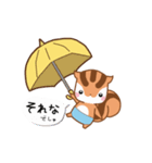 りすたんの梅雨と七夕と夏！！りすたん語（個別スタンプ：19）