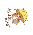 りすたんの梅雨と七夕と夏！！りすたん語（個別スタンプ：24）
