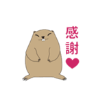 マーモットくん（個別スタンプ：11）