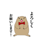 マーモットくん（個別スタンプ：12）