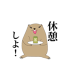 マーモットくん（個別スタンプ：14）