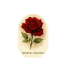 薔薇の花シリーズ:Types of Roses（個別スタンプ：1）