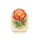薔薇の花シリーズ:Types of Roses（個別スタンプ：3）